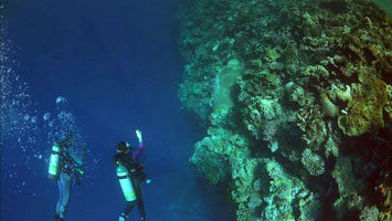 Dive Site: Boulder Reef